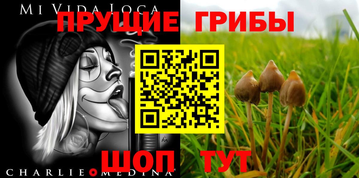 Галлюциногенные грибы GOLDEN TEACHER Вичуга