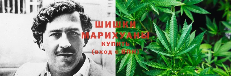 Конопля Ganja  купить закладку  Вичуга 